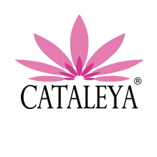 CATALEYA