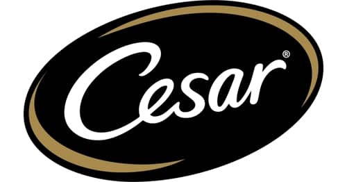 Logo von Cesar