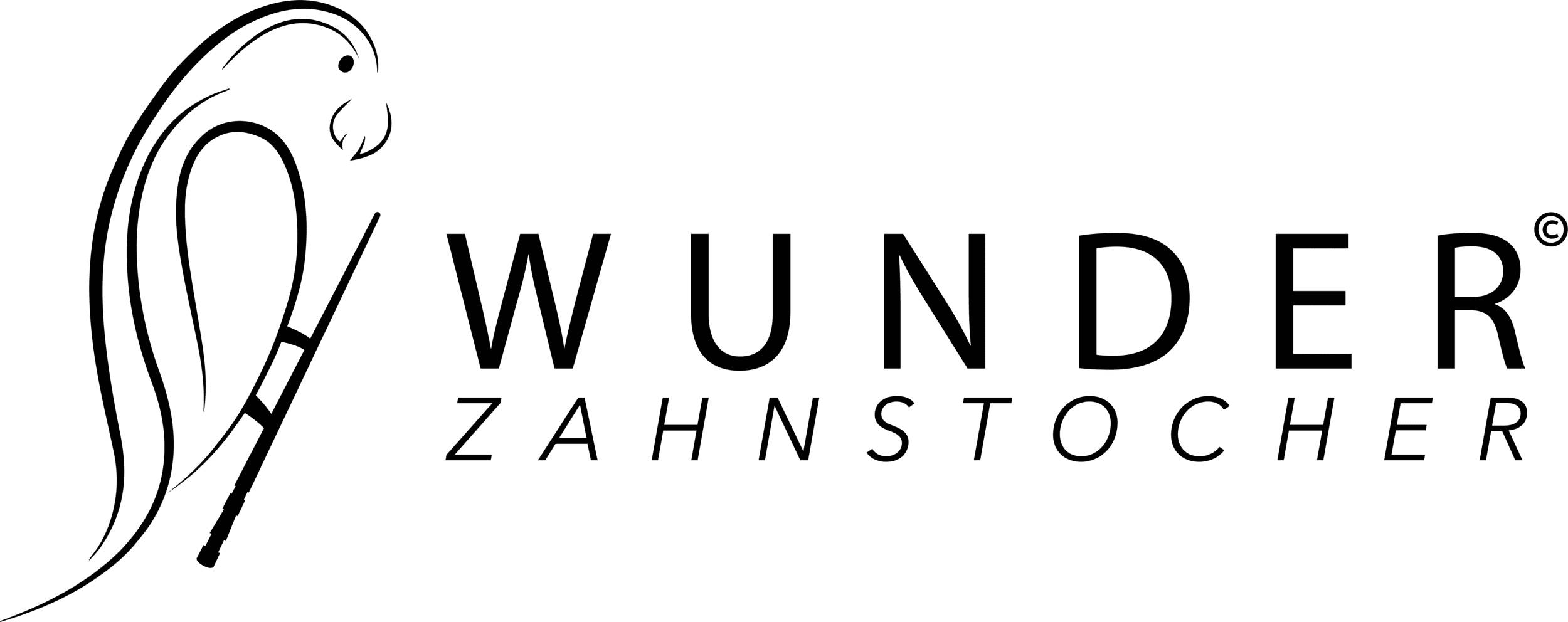 WUNDER ZAHNSTOCHER