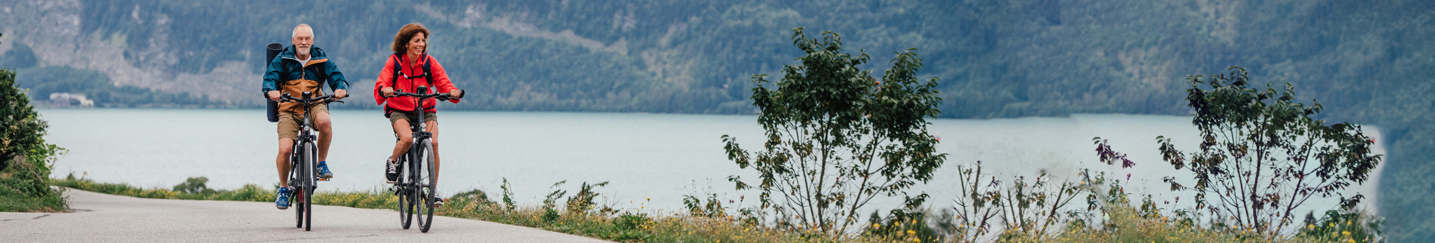 Banner Elektrofahrrad