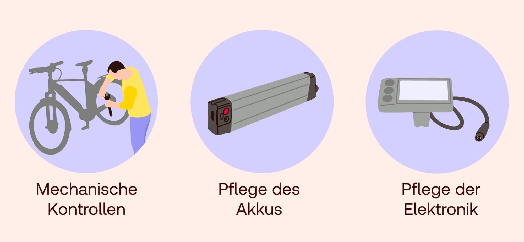 Wartung eines Elektrofahrrads