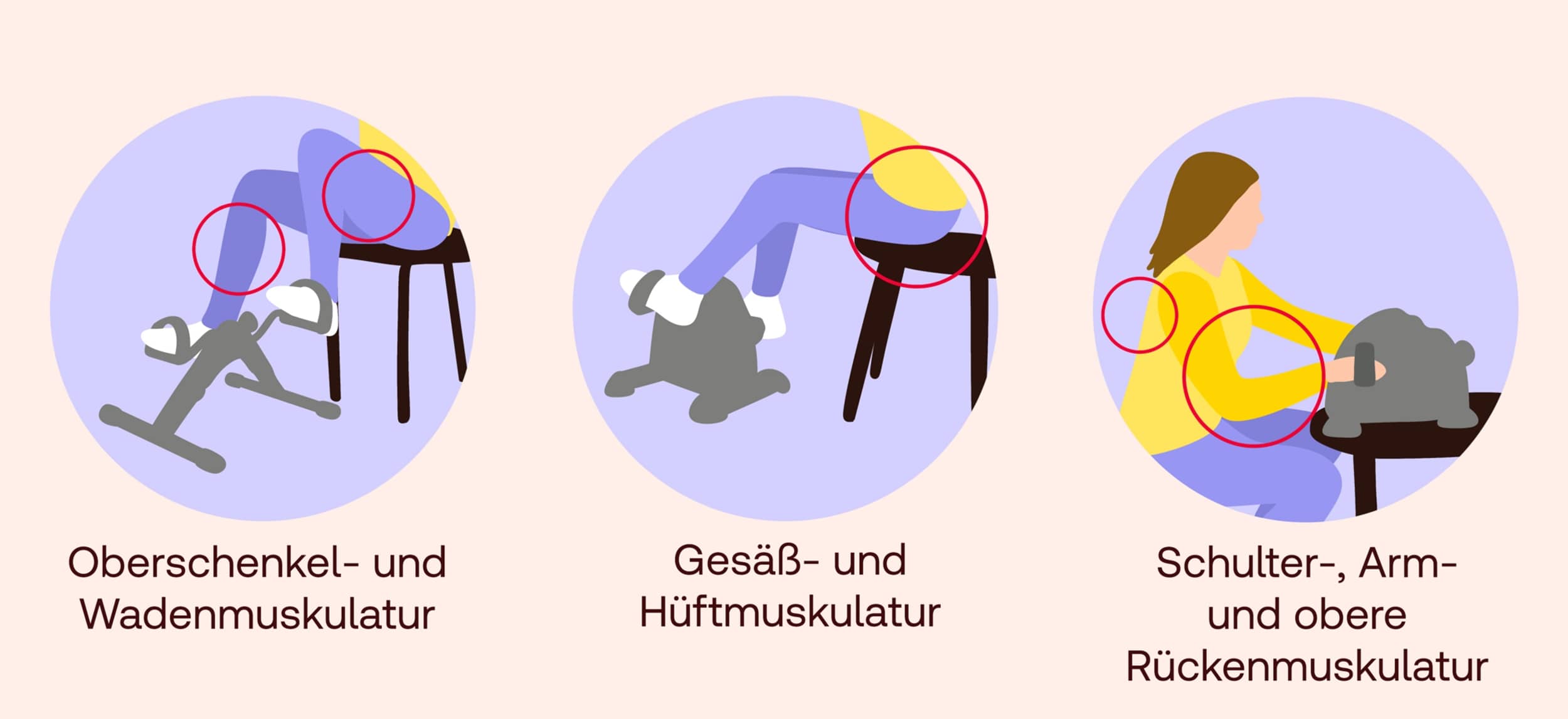 Muskeltraining mit dem Pedaltrainer