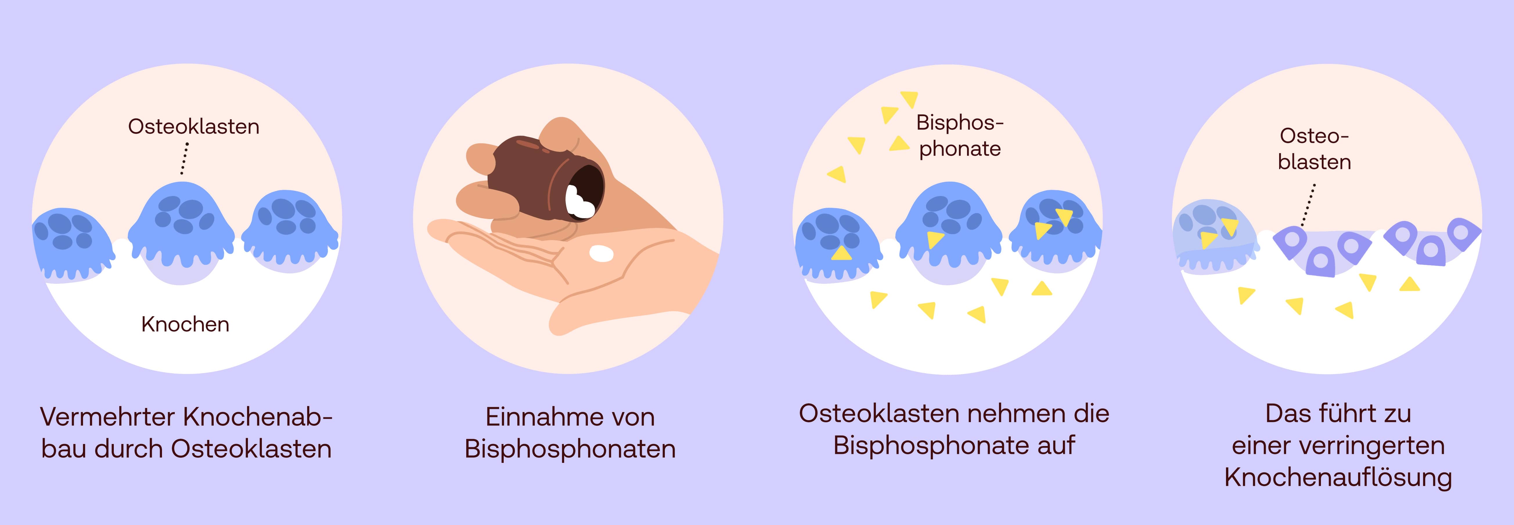 Bisphosphonate Wirkung