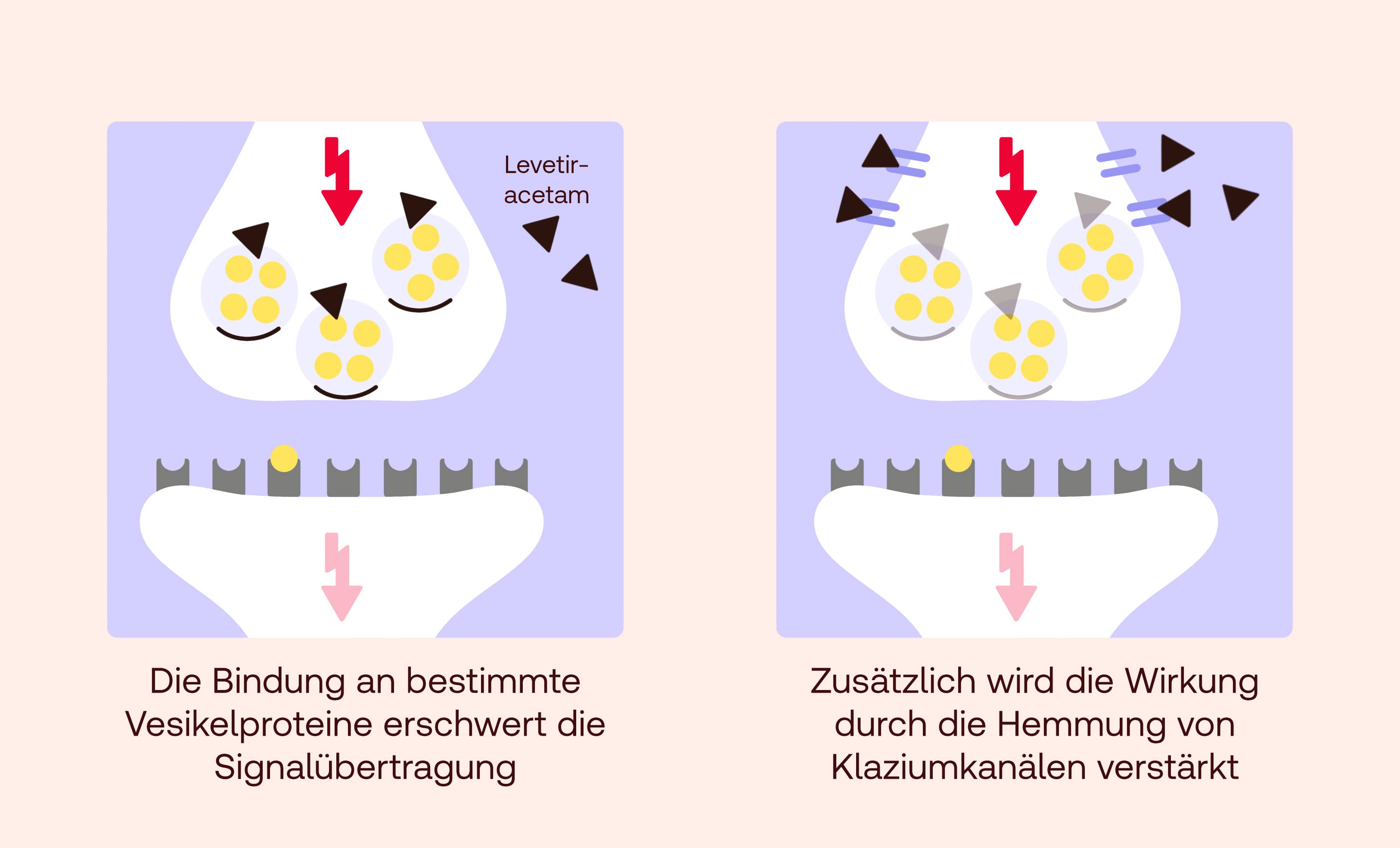 Levetiracetam Wirkung