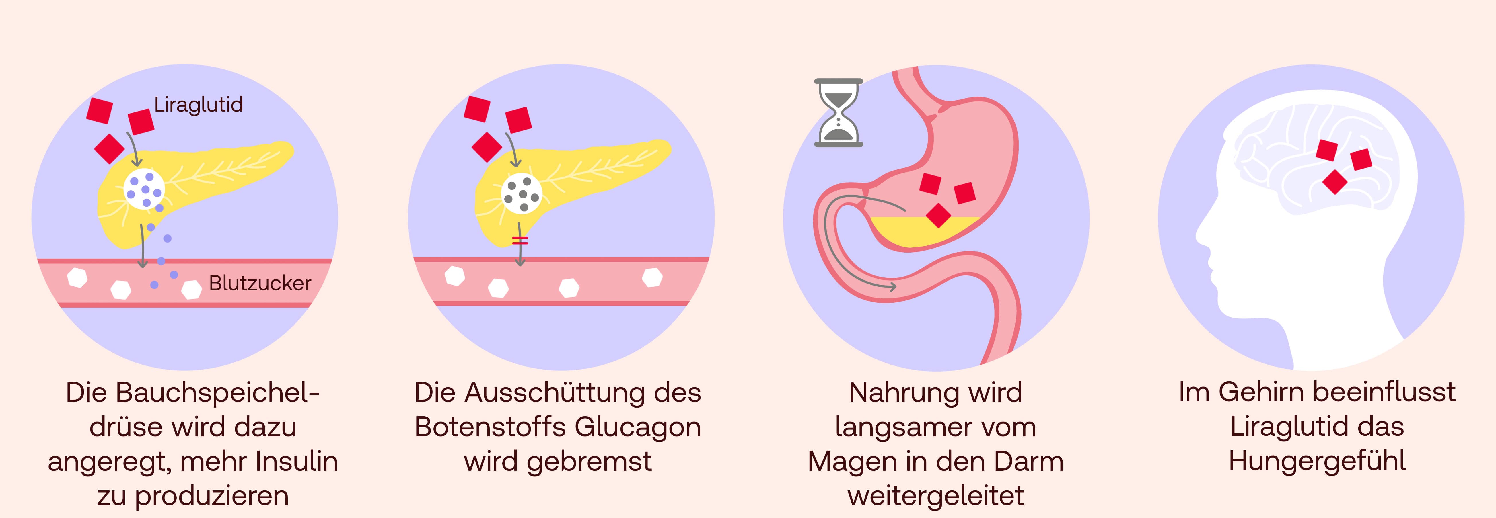 Liraglutid Wirkung