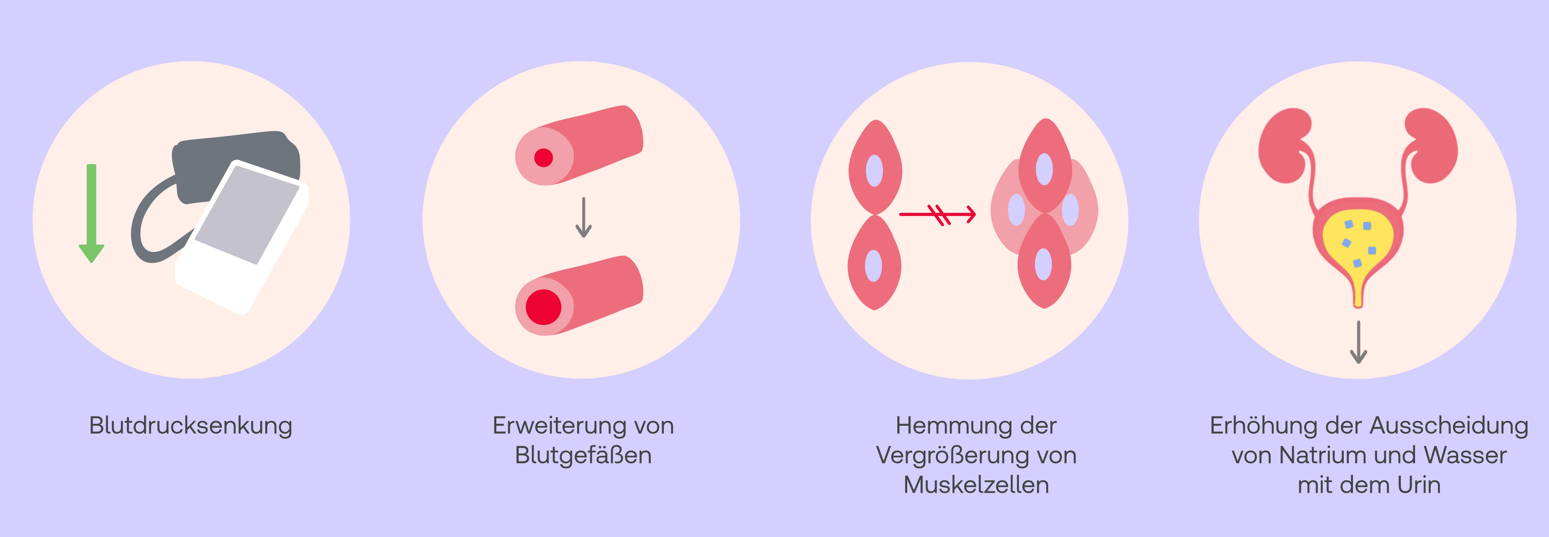 Sartane Wirkung