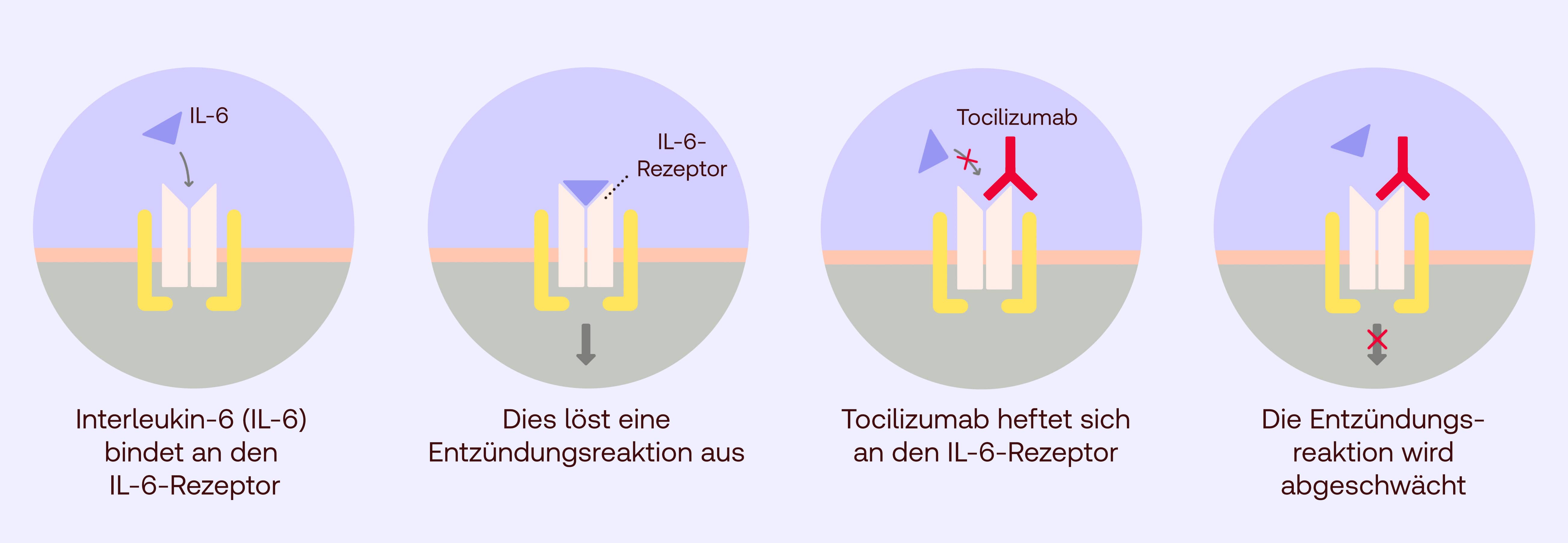 Tocilizumab Wirkung