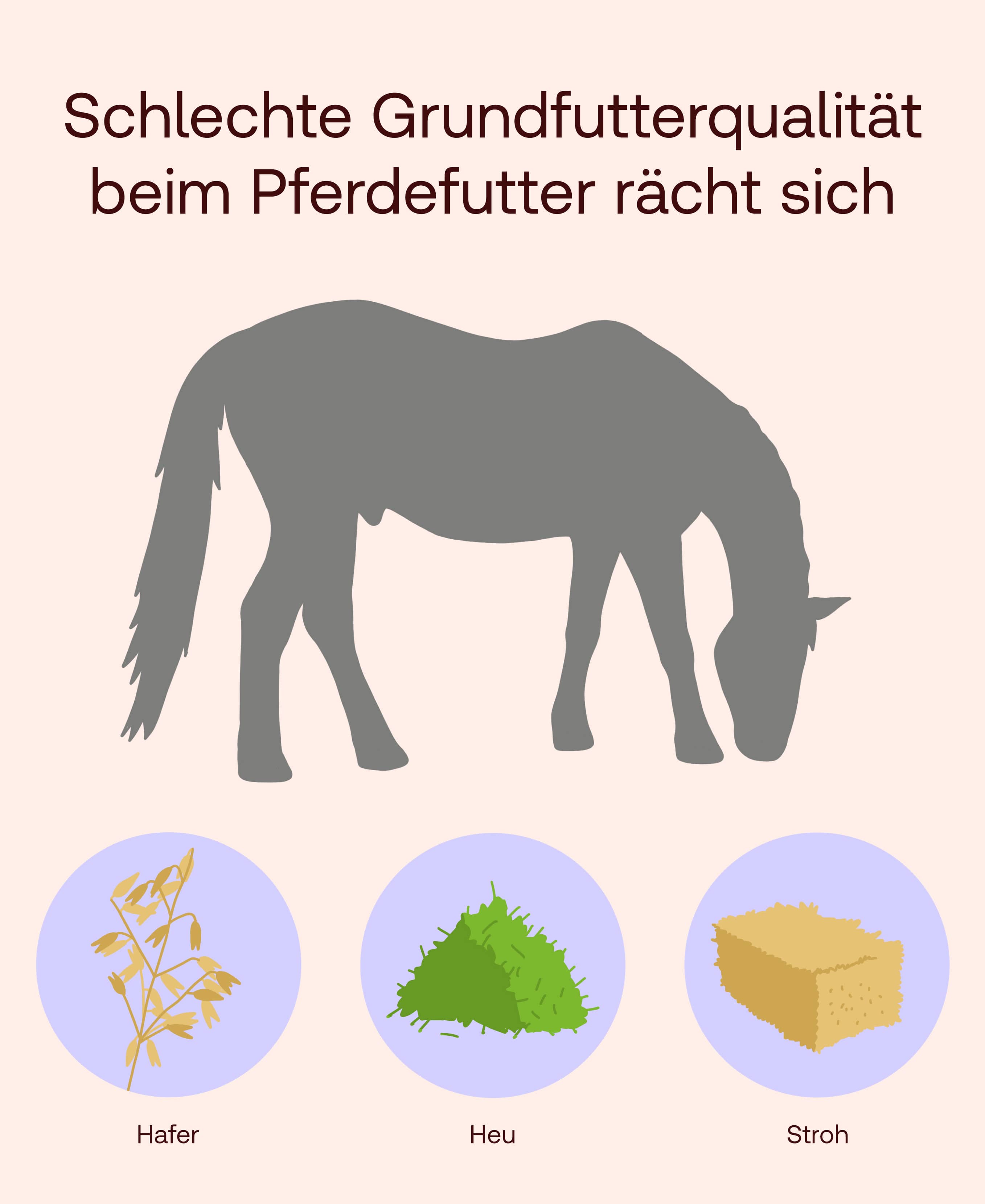 Illustration zum Thema Qualität von Pferdefutter
