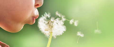 Allergien – Ursachen, Symptome und Therapieansätze
