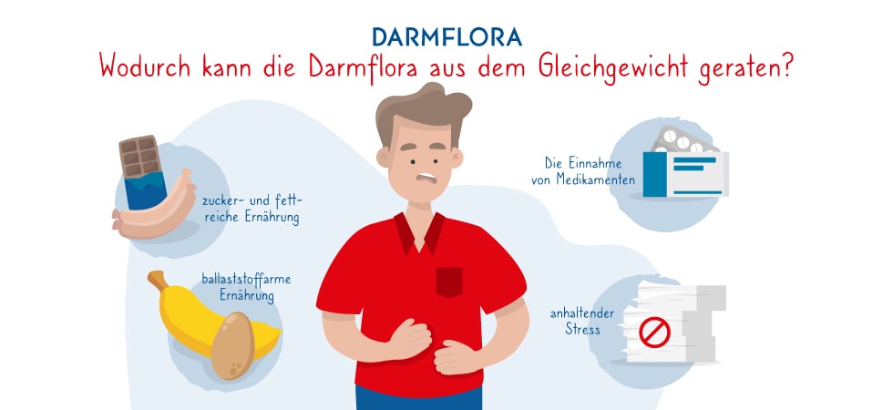 Die häufigsten Ursache einer geschädigten Darmflora