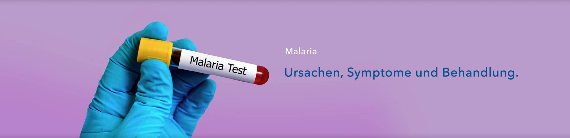 Malaria - Ursachen, Symptome und Behandlung
