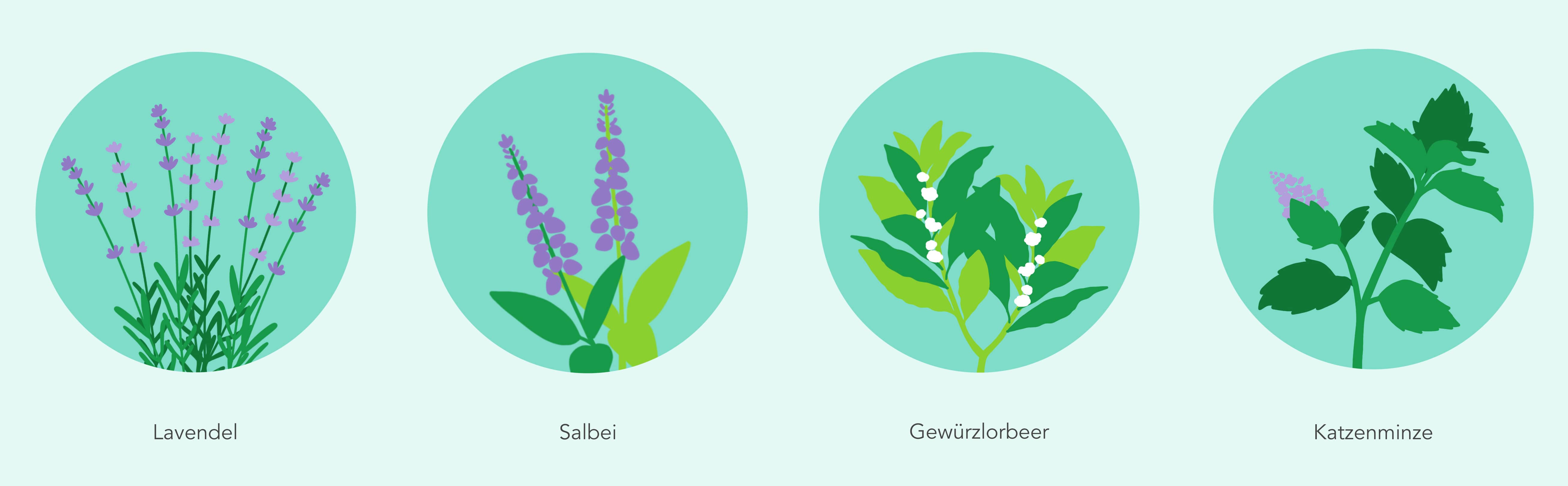 Illustration zum Thema Mückenschutz