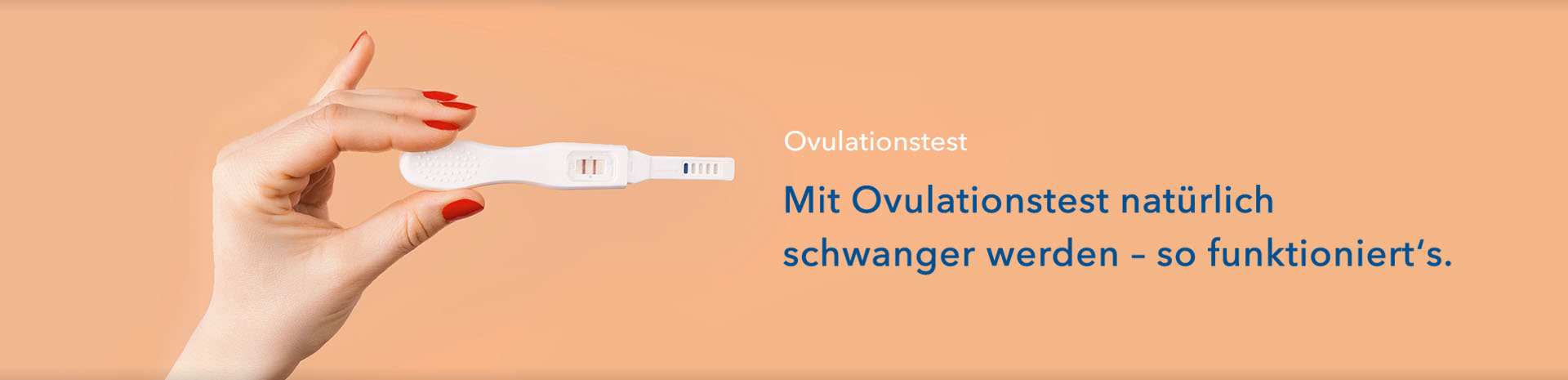 Ovulationstest Anwendung und Aussagekraft