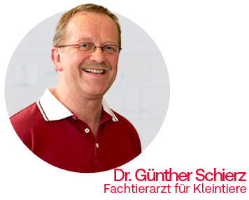 Expertenrat Dr. Günther Schierz