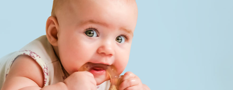 Babys Erste Zahnchen Was Hilft Beim Zahnen Shop Apotheke At