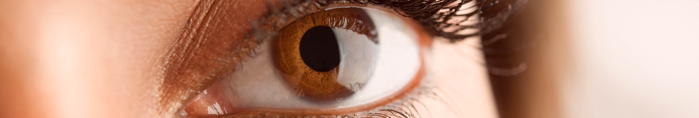 Große Pupillen Banner